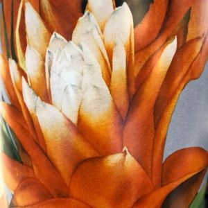 Meet your Posher, Ally